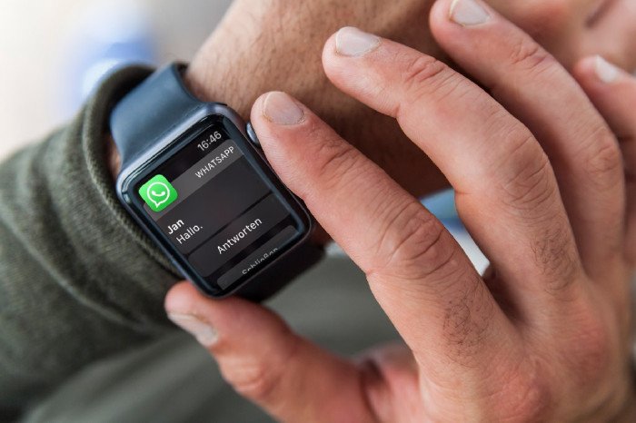 Cara Instal dan Gunakan Aplikasi WhatsApp di Apple Watch, Kirim Pesan Tanpa iPhone
