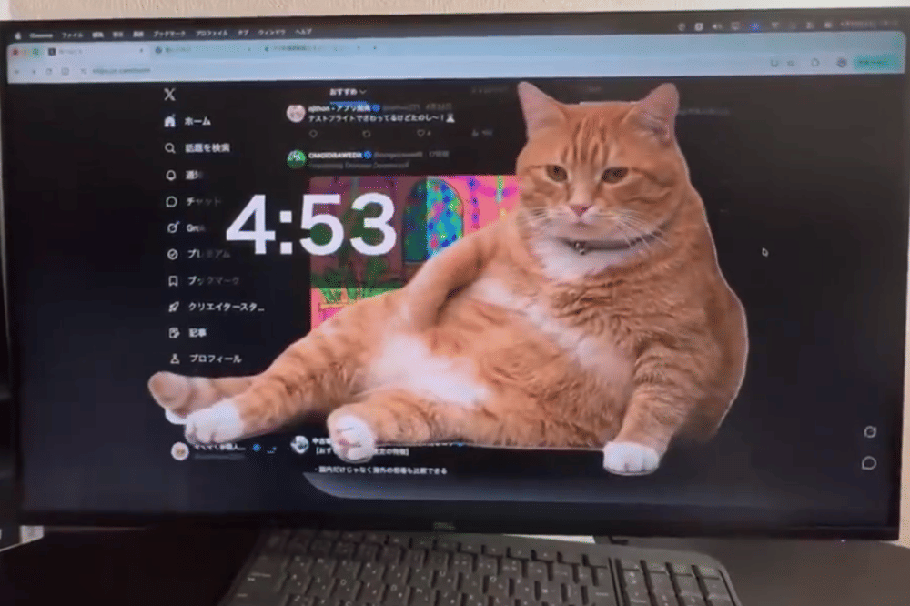 Cara Memasang Cat Gatekeeper di Google Chrome